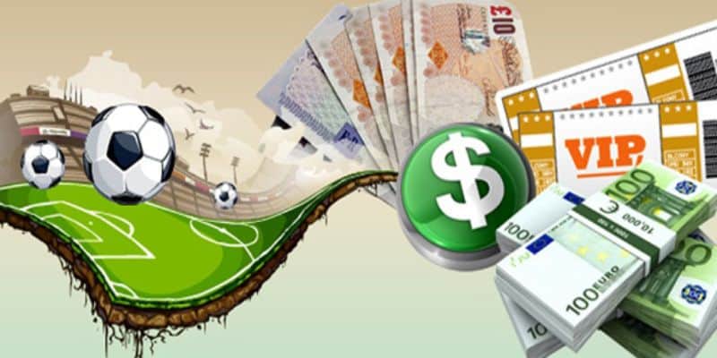 New88 - Trang cá độ bóng đá đánh giá 5 sao 5 Bạn biết gì về trang cá độ bóng đá New88